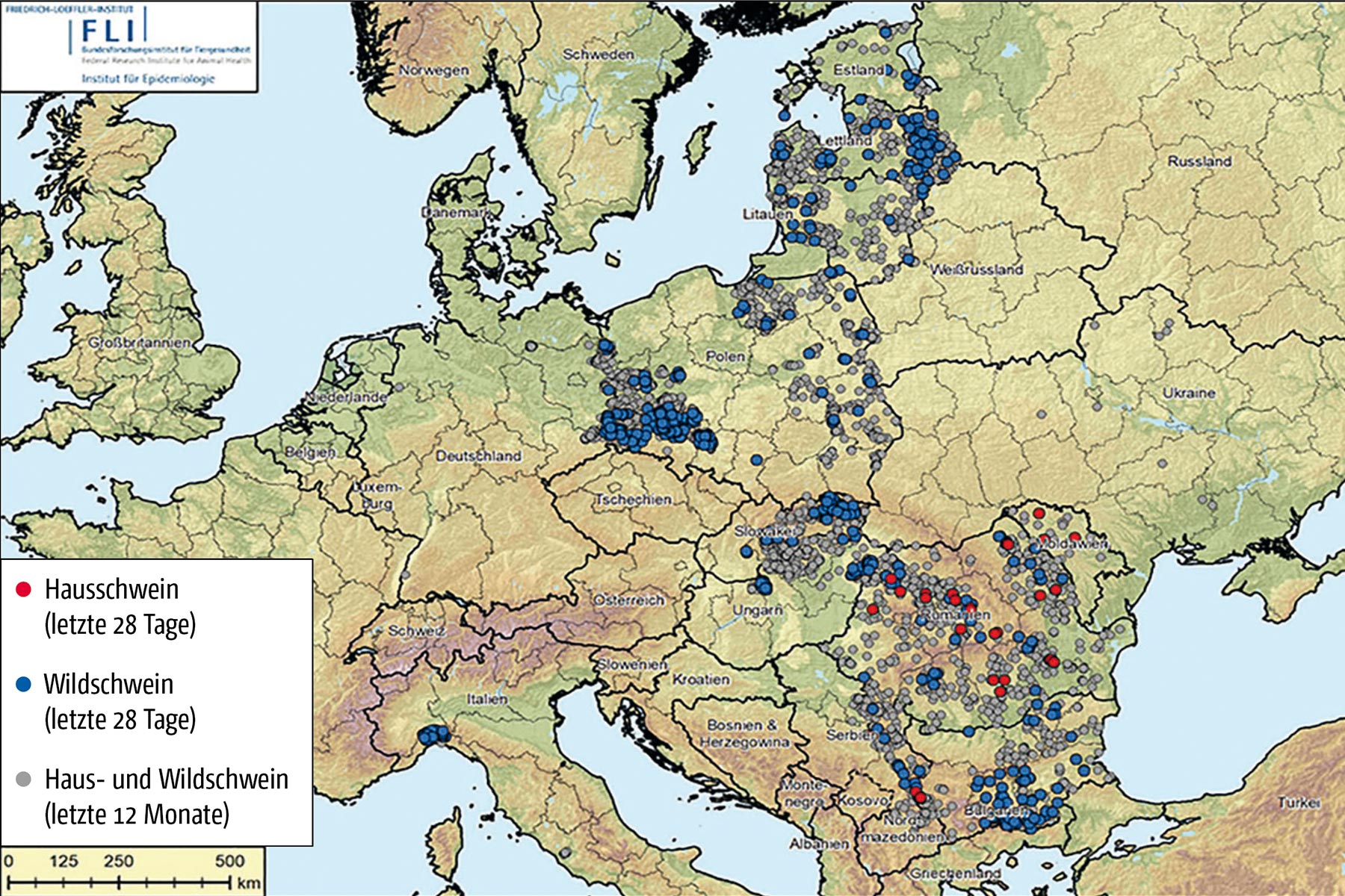 Die ASP-Ausbrüche in den letzten vier Wochen bei Haus- (rote Punkte) und Wildschweinen  (blaue Punkte) sowie ältere Fälle der letzten zwölf Monate (graue Punkte) traten erneut gehäuft in den osteuropäischen Staaten auf.